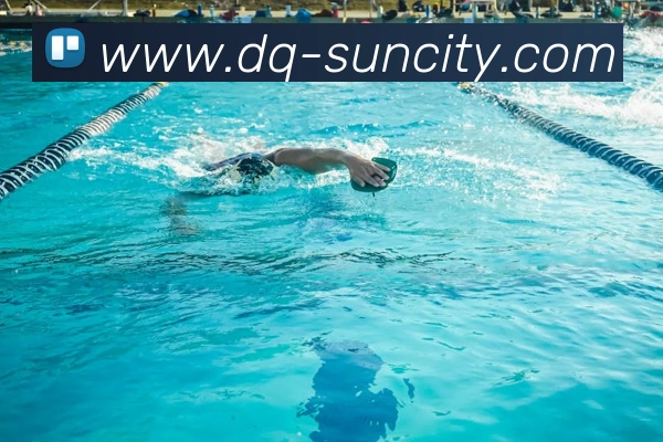 太阳城娱乐平台生态图